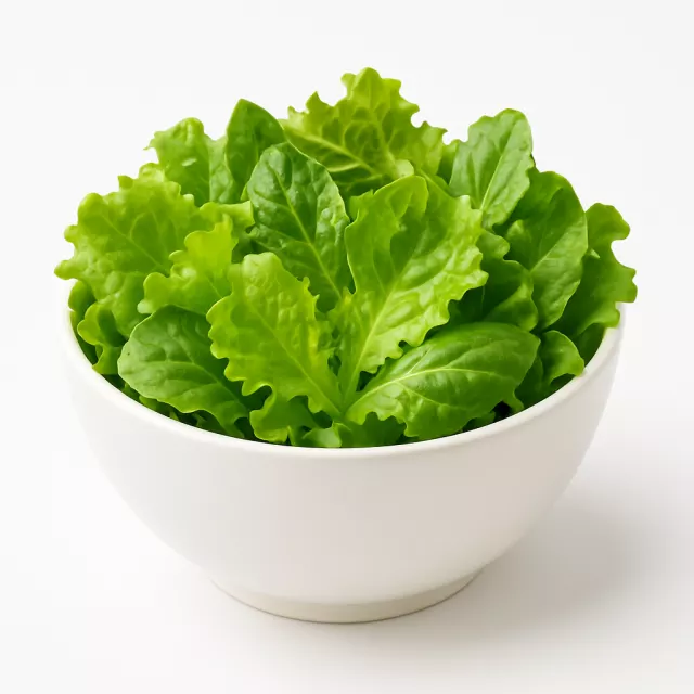 SALADE VERTE